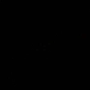 Meet your Posher, Makkah